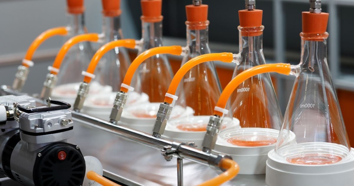 Orange silcone hoses conntecting a beaker to a vacuum system.