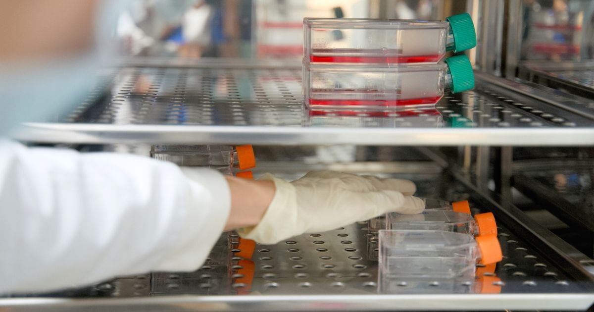 A scientist touching the samples in a gravity convection oven.