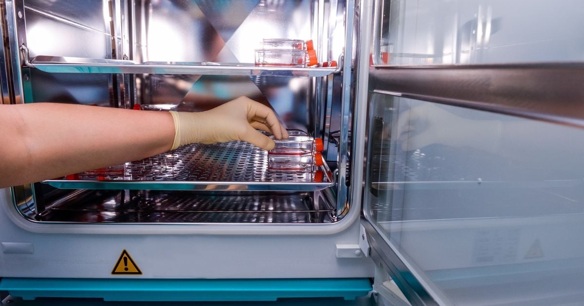 A scientist checking her samples in a gravity convection oven.