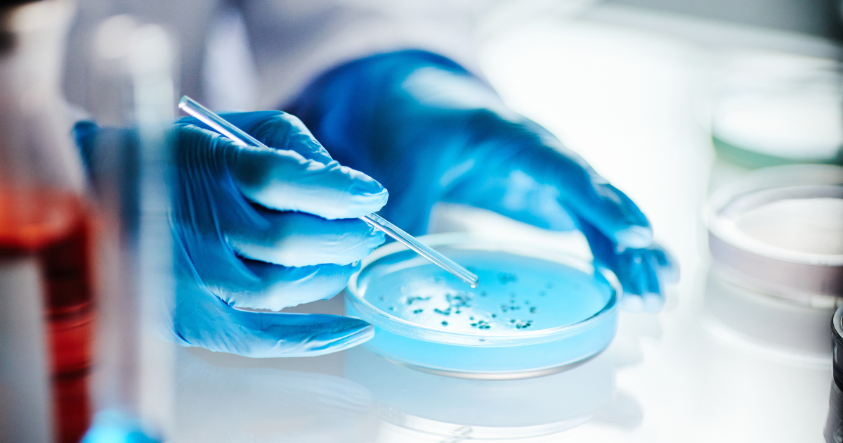 A scientist in blue gloves using a petri dish.