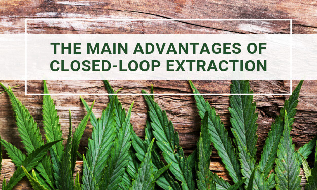 The Main Advantages of Closed-Loop Extraction