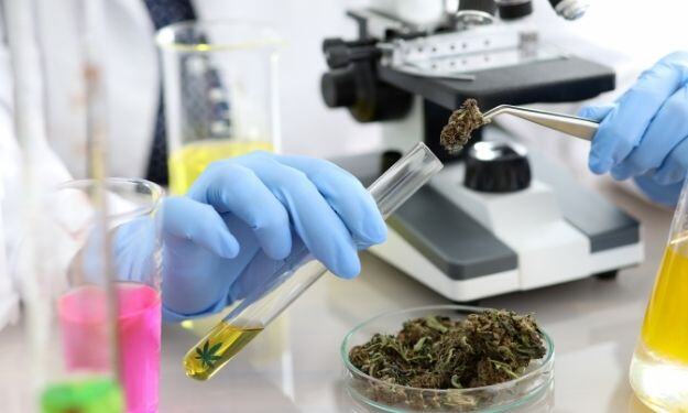 Types of Hemp Separating & Processing Equipment