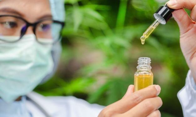 CBD Extraction Myths & Benefits | Hemp Plants