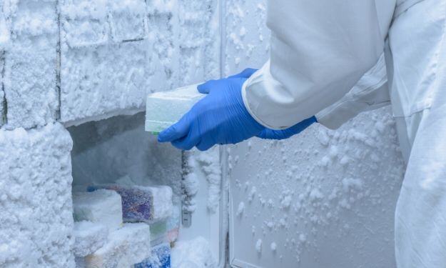 The Different Types of Medical and Lab Freezers
