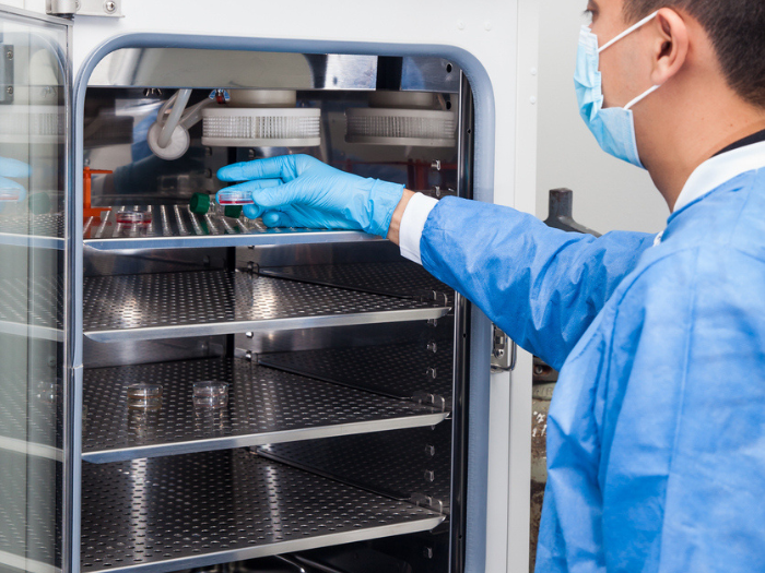 Maintenance and Care 101: How to Prolong the Lifespan of Your Vacuum Oven